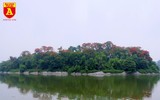 Ngắm đảo cò Hưng Yên mùa phượng vỹ